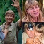 12 YEARS AFTER STEVE IRWIN’S PASSING, WIFE TERRI SHARED DARK TRUTH HUSBAND ONCE CONFESSED TO HER