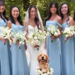 Dogs Act as the Flower Girl and Ring Bearer at Owners’ Wedding and Make All the Guests ‘Go Aww’ (Exclusive)