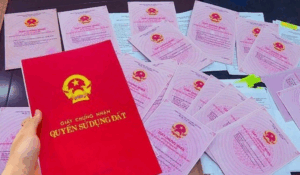 Quá hạn 3 mốc thời gian này coi chừng không thể sang tên sổ đỏ