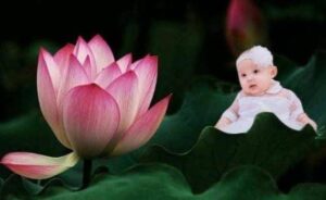 Trẻ sinh vào 5 ngày âm lịch: Con trai là Thần Tài, con gái là Đại gia, cha mẹ nở mày nở mặt