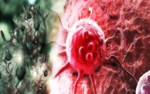 Cả thế giới mở tiệc ăn mừng vì mới phát hiện ra loại rau có khả năng chống UT gấp trăm lần thuốc đặc trị , ở VN mọc đầy ra