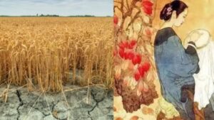 Người xưa nói: “Sợ trai sinh tháng Tám gái sinh tháng Chạp”, số phận của họ thế nào mà người xưa lại sợ?