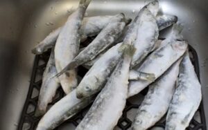 Bé trai 9 tuổi mắc UT máu vì thường xuyên ăn 1 loại cá, bác sĩ nhắc: 3 loại cá độc nên tránh xa