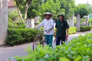 Tiền lương Trưởng thôn sẽ tăng trên 15 triệu đồng/tháng từ 1/7?