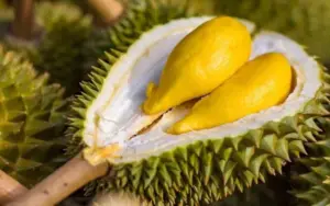 Người mắc 1 trong 5 bệnh này tuyệt đối không nên ăn sầu riêng