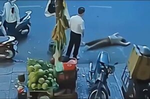 Chồng chứng kiến vợ bị gã đàn ông lạ mặt động tay động chân đến bất tỉnh, nguồn cơn gây bức xúc